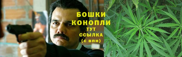 мяу мяу мука Иннополис