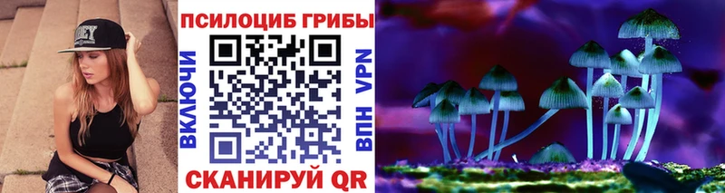 купить закладку  Владивосток  Псилоцибиновые грибы Cubensis 